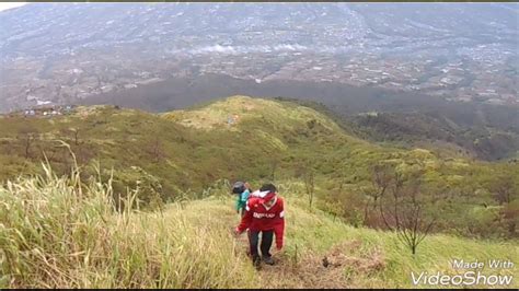 Alang Alang Sewu Gunung Sindoro YouTube