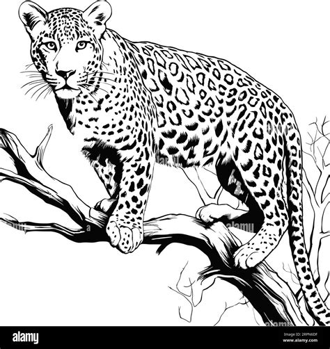 Leopard Print Tattoo Stencil