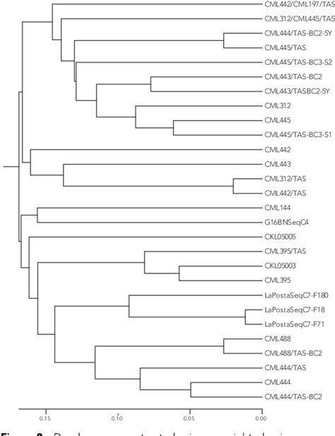 SNP Based Genetic Diversity Among Few Branched 1 Fbr1 Maize Lines And