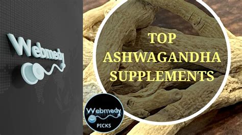 Best Ashwagandha Supplement For 2024 Ashwagandha Root Withania