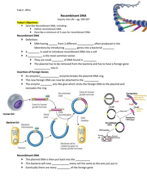 Recombinant Dna Notes