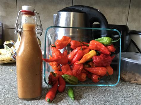 Homemade Fresh Pineapple Ghost Pepper Sauce Rhotpeppers