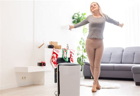 The 7 Most Powerful Home Air Purifiers Iupilon