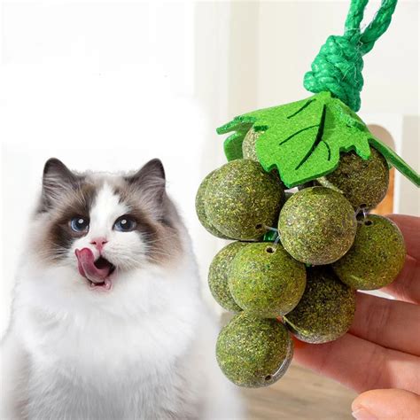 Nip Mint For Cats Interactive Avocado Wall Ball Cat Toys Matatabi