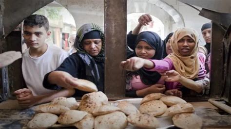 وثيقة ملكية الدولة ما مدى اطمئنان المستثمرين المصريين والأجانب لها