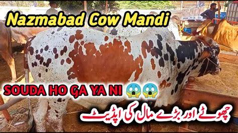 Nazimabad Me Mandi Lag Gaye Chota Or Bara Qurbani Ka Janwer