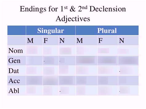 Latin Adjective Endings St And Nd Declension Diagram Quizlet