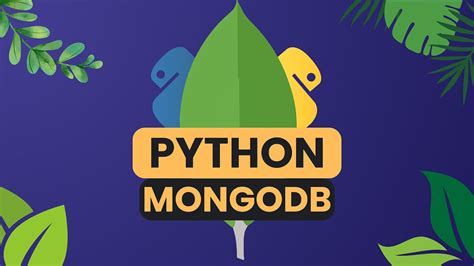 Pymongo Integrando Banco De Dados Mongodb Python Youtube