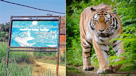 Animals Counting Going To Happen For First Time In Kaimur Wildlife