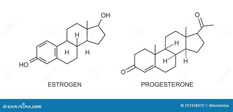 Iconos De Estrógenos Y Progesterona Estructura Química Molecular De