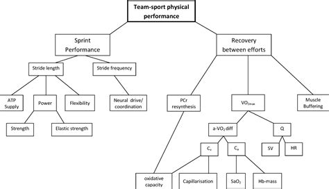 Determinants Of Team Sport Performance Implications For Altitude