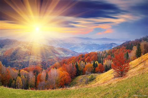 Autumn Sun Wallpaper download - Autumn HD Wallpaper - Appraw