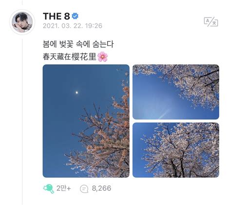 팔층 On Twitter 명호가 찍은 벚꽃 사진들 넘 예뻐🌸