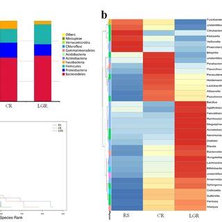 Effect Of Lgr Cr And Rs On Gut Microbiota Composition In Dynamic