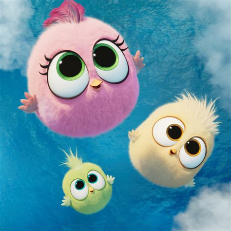 Энгри Бердз Птенцы Картинки - 58 фото
