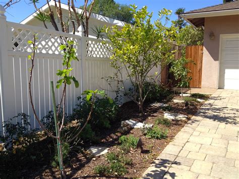 How Does My Garden Grow?: Front Yard Fruit Trees - Spring Blossoms