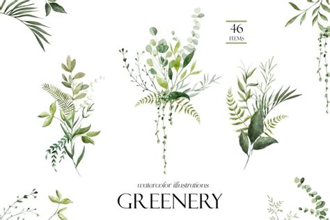 Greenery watercolor illustrations