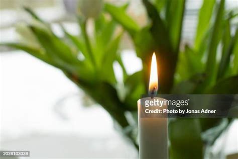 312 Lighting Shabbat Candles Stock Photos, High-Res Pictures, and ...