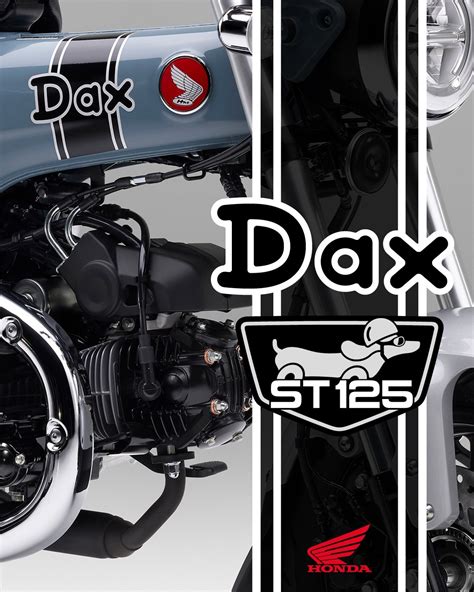 Les Beaux Visuels Du Honda Dax St125 Mini4temps Fr