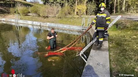 Stmk Traktor Rollt In Teich Und Sinkt Komplett Fireworld At