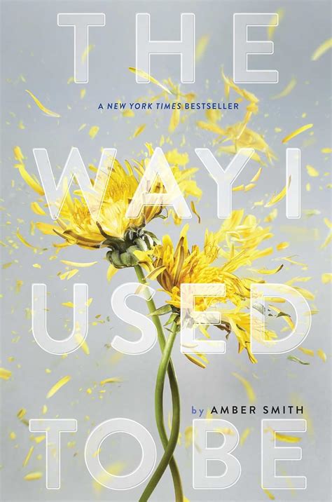 The Way I Used To Be Smith Amber Amazonfr Livres