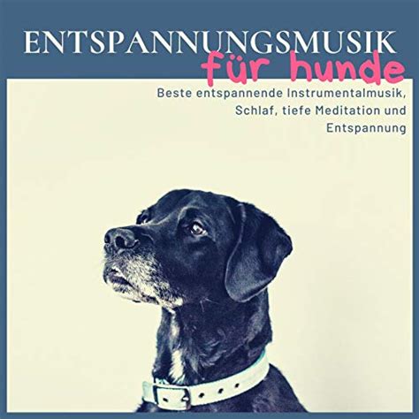 Play Entspannungsmusik für Hunde Beste entspannende Instrumentalmusik