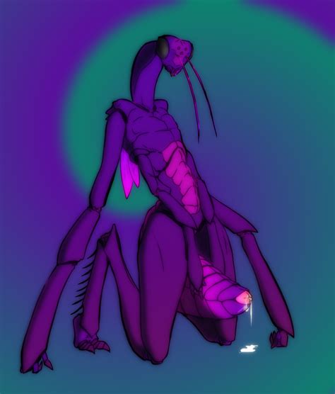 Rule 34 After Sex Antennae Bug Cum Dat Abdomen Dripping Feelers Female Insects Mantis Messy