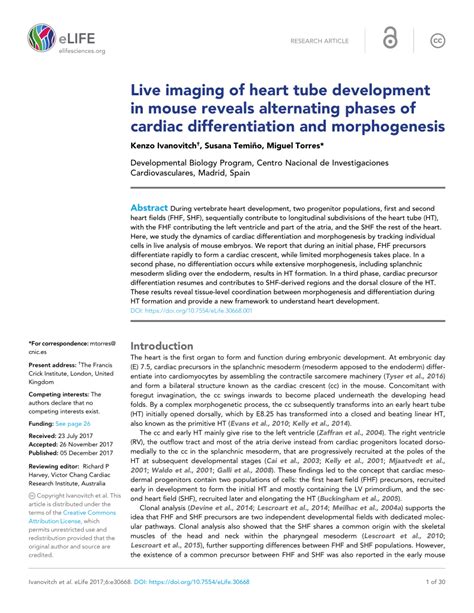 Pdf Live Imaging Of Heart Tube Development In Mouse Reveals