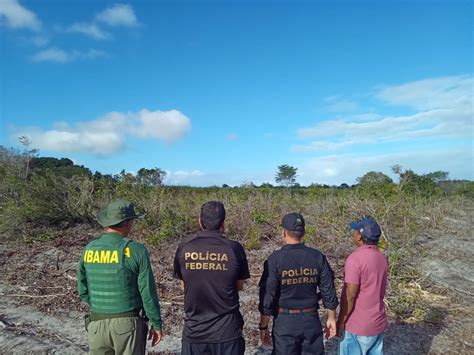 Ibama combate desmatamento em Terra Indígena da Mata Atlântica na PB