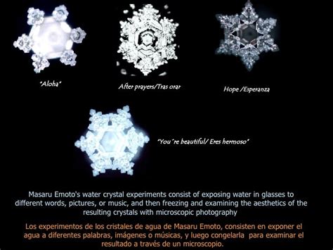 Masaru Emoto's water crystal experiments