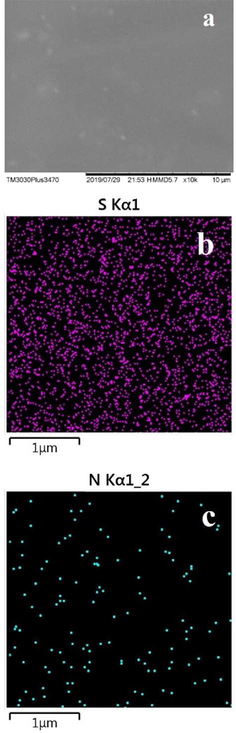 SEM Image Of The Surface Of SPEEKImPPO20 A Distribution Of Sulfur