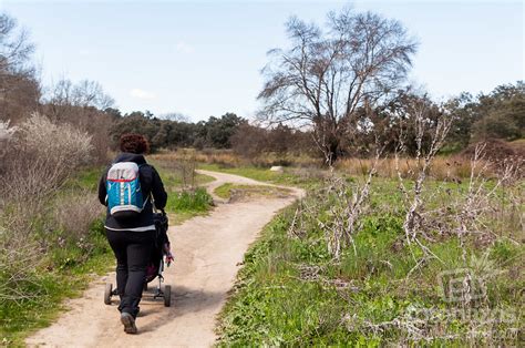 Área Recreativa La Ermita en Villanueva del Pardillo Fotonazos