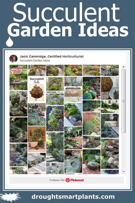 Succulent Garden Ideas