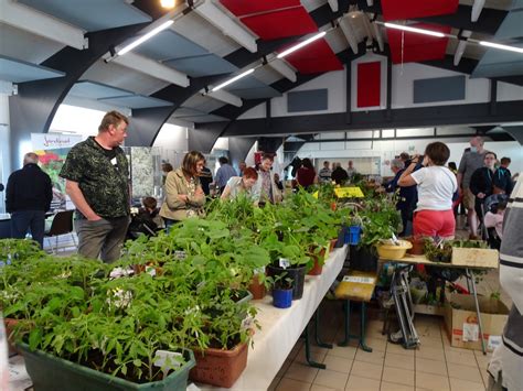 Bourse Aux Plantes Actualit S Mairie De Richardm Nil