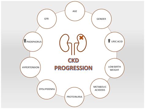 Rethinking Chronic Kidney Disease in the Aging Population