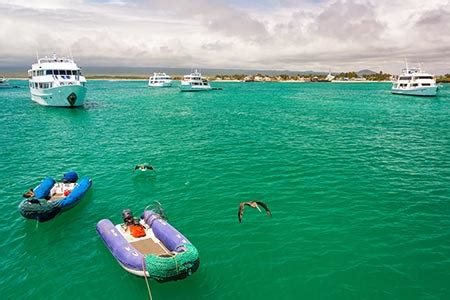 Galapagos Islands Tradition - Crossing the Equator on a Galapagos Cruise