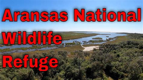 Aransas National Wildlife Refuge Youtube