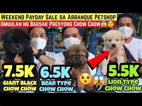 Weekend Payday Sale Sa Arranque Petshop Umuulan Ng Bagsak Presyong