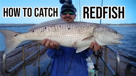 How To Catch Redfish YouTube