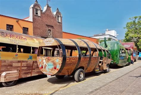 Awesome Things To Do In Tequila Jalisco