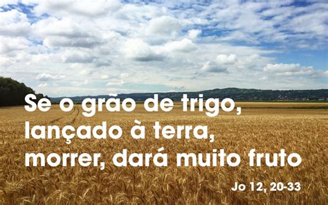 Se o grão de trigo lançado à terra morrer dará muito fruto Jo 12