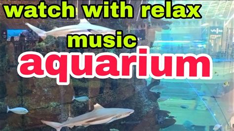 aquarium with relax music - YouTube