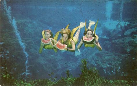 My Florida History Weeki Wachee Mermaids Eating Watermelon