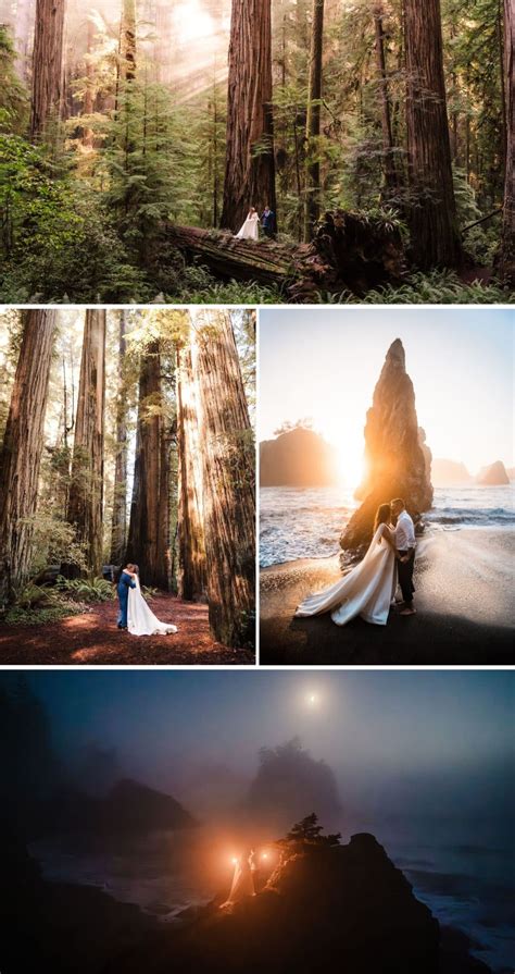 Magical Redwoods Elopement and Oregon Coast Adventure - The Foxes ...