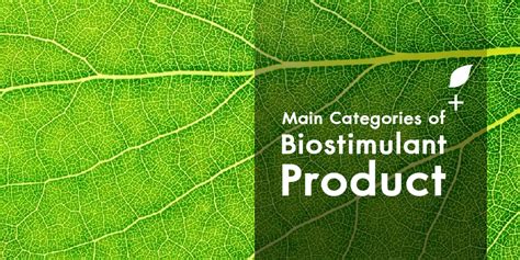 Biostimulants What Are They And How Do They Work Nap