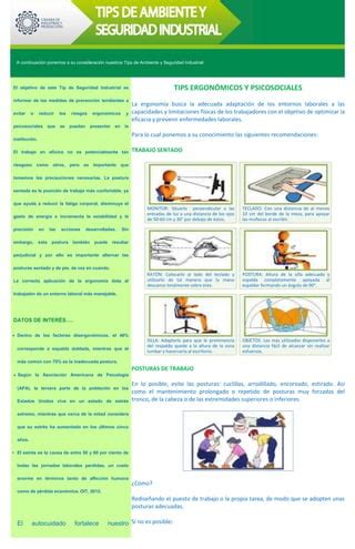 Tips de seguridad industrial consejos ergonomía 2014 PDF Descarga