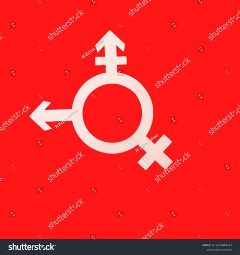 Male Female Sex Symbols Stock Photo Shutterstock