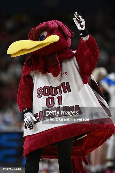 The South Carolina Gamecocks mascot encouraging fans during the Sweet ...