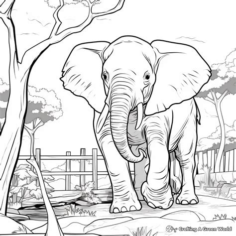 Realistic Zoo Coloring Pages - Free & Printable!