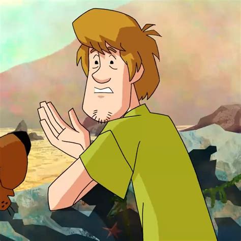 🔎syltherinsarchive Shaggy Scooby Doo Shaggy And Scooby Scooby Doo